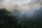 Josh Manrng- The natural world -Costa Rica Exhibit-22